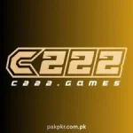 C222 Game
