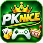 PKNICE game