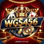 WGS456 Game