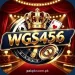 WGS456 Game
